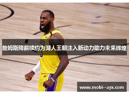詹姆斯降薪续约为湖人王朝注入新动力助力未来辉煌