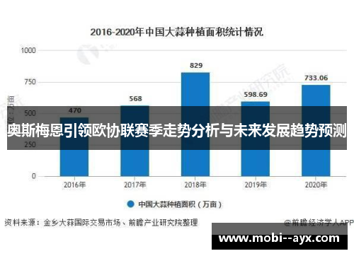 奥斯梅恩引领欧协联赛季走势分析与未来发展趋势预测 奥斯梅恩引领欧协联赛季走势分析与未来发展趋势预测