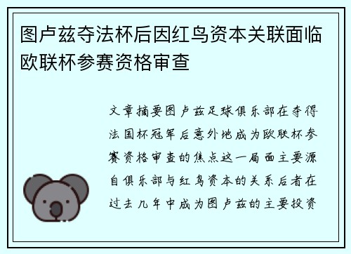 图卢兹夺法杯后因红鸟资本关联面临欧联杯参赛资格审查